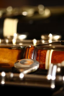 Querfloete Lernen Wien Fuer Erwachsene Anfaenger